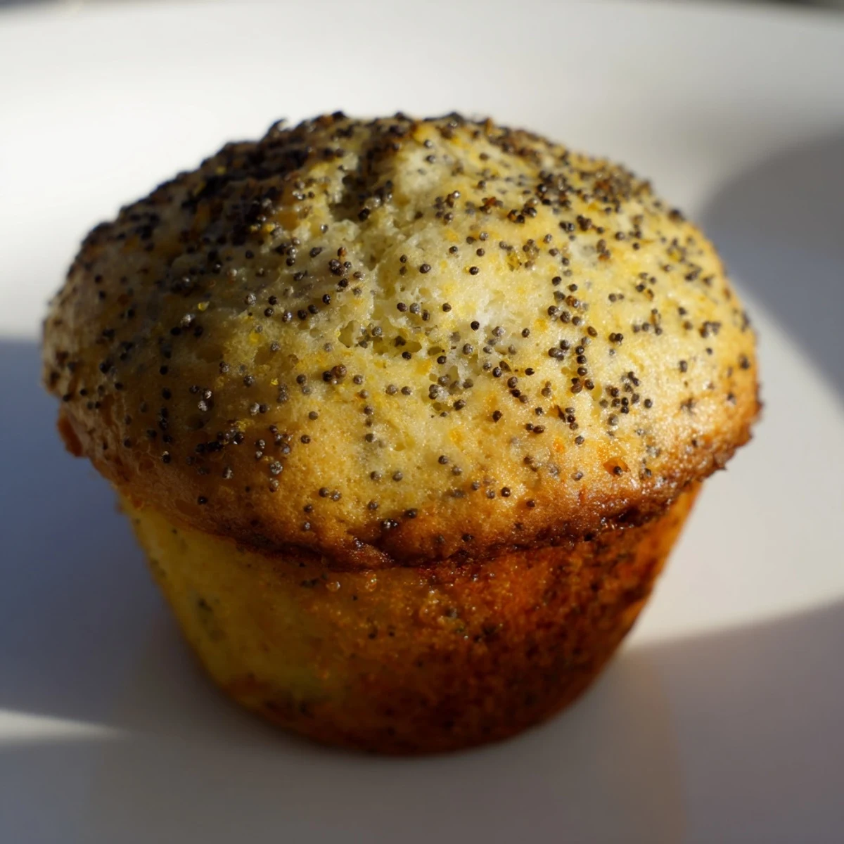 Moist lemon poppy seed muffins topped with lemon zest on a white ceramic serving plate.